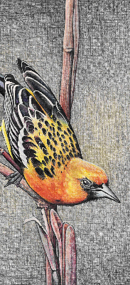 Estor enrollable con diseño de un pájaro en una rama