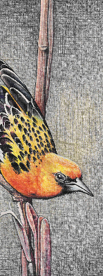Estor enrollable con diseño de un pájaro en una rama
