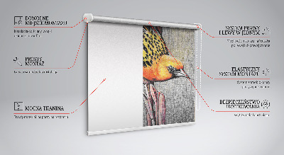Estor enrollable con diseño de un pájaro en una rama