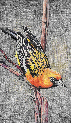Estor enrollable con diseño de un pájaro en una rama
