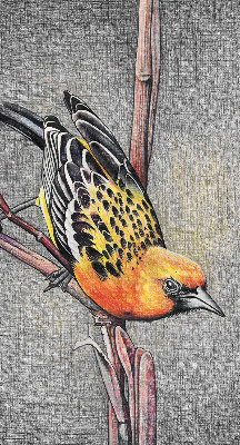 Estor enrollable con diseño de un pájaro en una rama