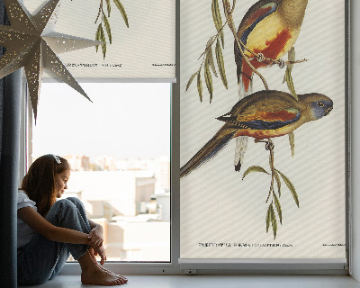 Estor enrollable con estampado 'Dos pájaros en una rama'