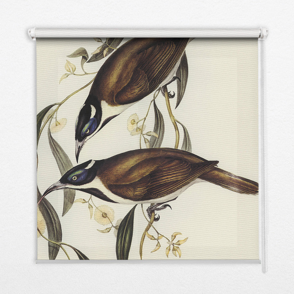 Modern roller blind con estampado de pájaros en un árbol