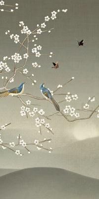 Modern roller blind con estampado de pájaros posados en una rama