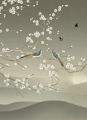 Modern roller blind con estampado de pájaros posados en una rama