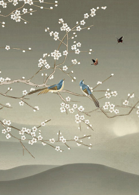 Modern roller blind con estampado de pájaros posados en una rama
