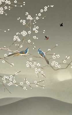 Modern roller blind con estampado de pájaros posados en una rama