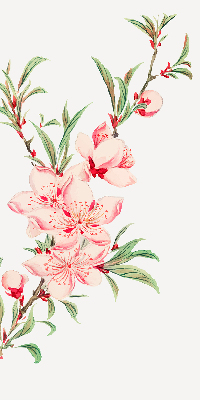 Modern roller blind con estampado de flores rosas