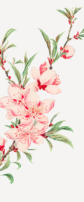 Modern roller blind con estampado de flores rosas