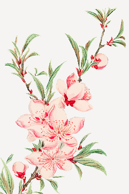 Modern roller blind con estampado de flores rosas