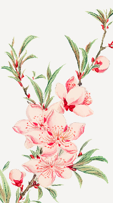 Modern roller blind con estampado de flores rosas