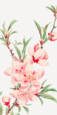 Modern roller blind con estampado de flores rosas