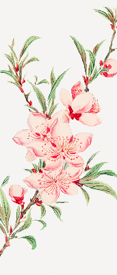 Modern roller blind con estampado de flores rosas