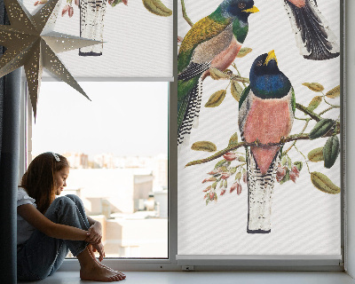 Estor enrollable para ventana con diseño de pájaros en las ramas