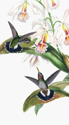 Estor enrollable con diseño de pájaros sobre una flor