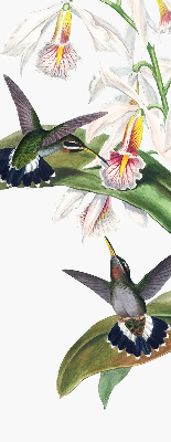 Estor enrollable con diseño de pájaros sobre una flor