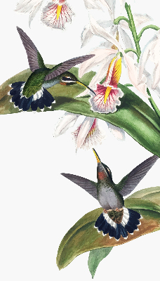 Estor enrollable con diseño de pájaros sobre una flor