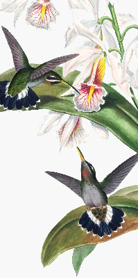 Estor enrollable con diseño de pájaros sobre una flor