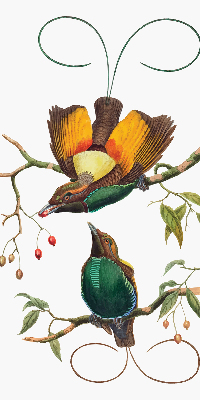 Modern roller blind con estampado de pájaros en una rama
