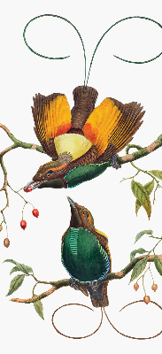 Modern roller blind con estampado de pájaros en una rama