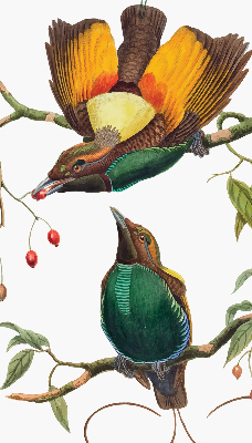 Modern roller blind con estampado de pájaros en una rama