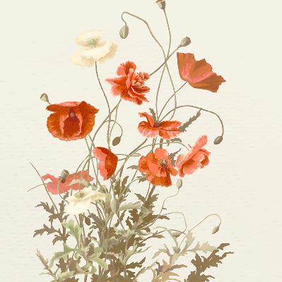 Estor enrollable con estampado de amapolas