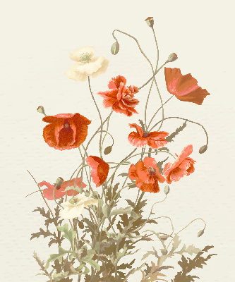 Estor enrollable con estampado de amapolas