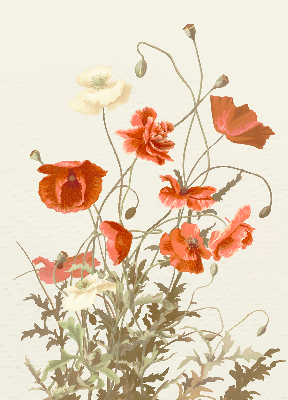 Estor enrollable con estampado de amapolas