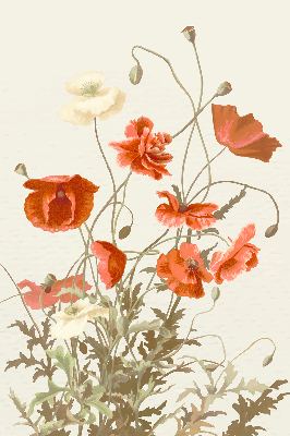 Estor enrollable con estampado de amapolas