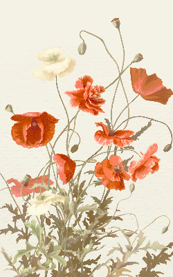 Estor enrollable con estampado de amapolas