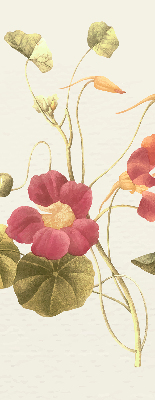 Modern roller blind con diseño floral