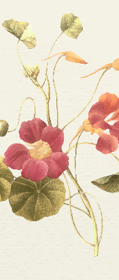 Modern roller blind con diseño floral