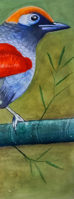 Estor enrollable con el dibujo de un pájaro posado en una rama