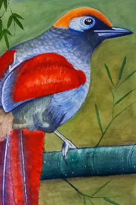 Estor enrollable con el dibujo de un pájaro posado en una rama