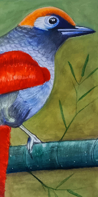 Estor enrollable con el dibujo de un pájaro posado en una rama