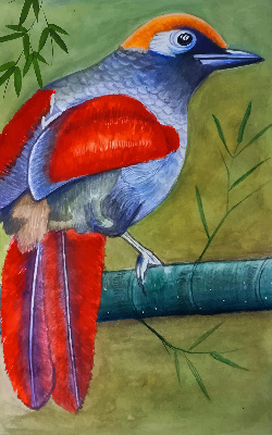 Estor enrollable con el dibujo de un pájaro posado en una rama