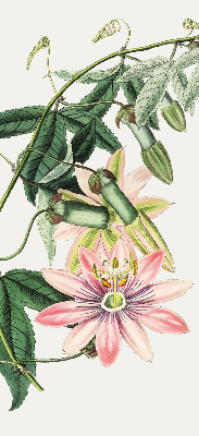 Estor enrollable con estampado de flores rosas