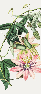 Estor enrollable con estampado de flores rosas