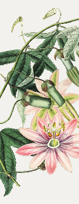 Estor enrollable con estampado de flores rosas