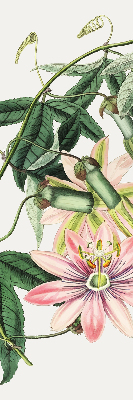 Estor enrollable con estampado de flores rosas