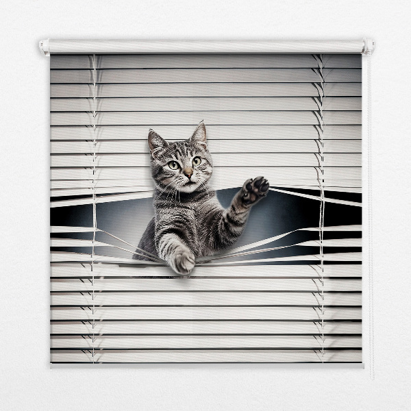 Modern roller blind con estampado de gato