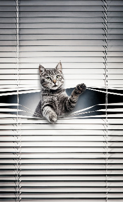 Modern roller blind con estampado de gato