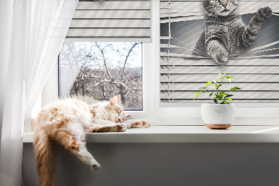 Modern roller blind con estampado de gato
