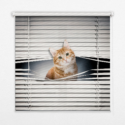 Estor enrollable para ventana con diseño de gato pelirrojo