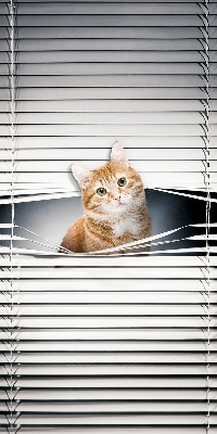 Estor enrollable para ventana con diseño de gato pelirrojo