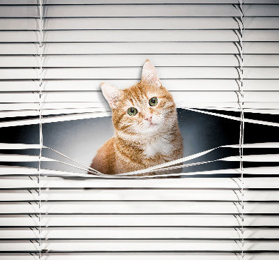 Estor enrollable para ventana con diseño de gato pelirrojo