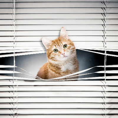 Estor enrollable para ventana con diseño de gato pelirrojo