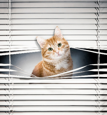Estor enrollable para ventana con diseño de gato pelirrojo