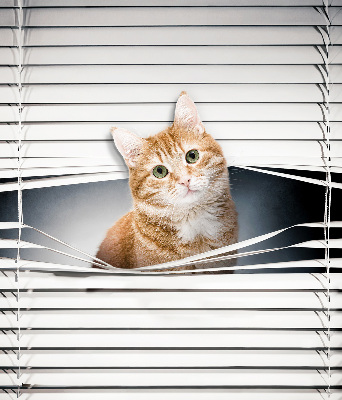 Estor enrollable para ventana con diseño de gato pelirrojo