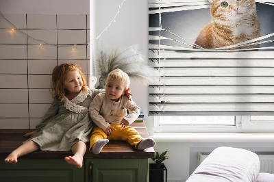Estor enrollable para ventana con diseño de gato pelirrojo